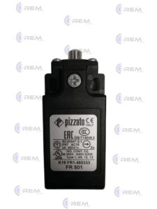 FR 501 PIZZATO