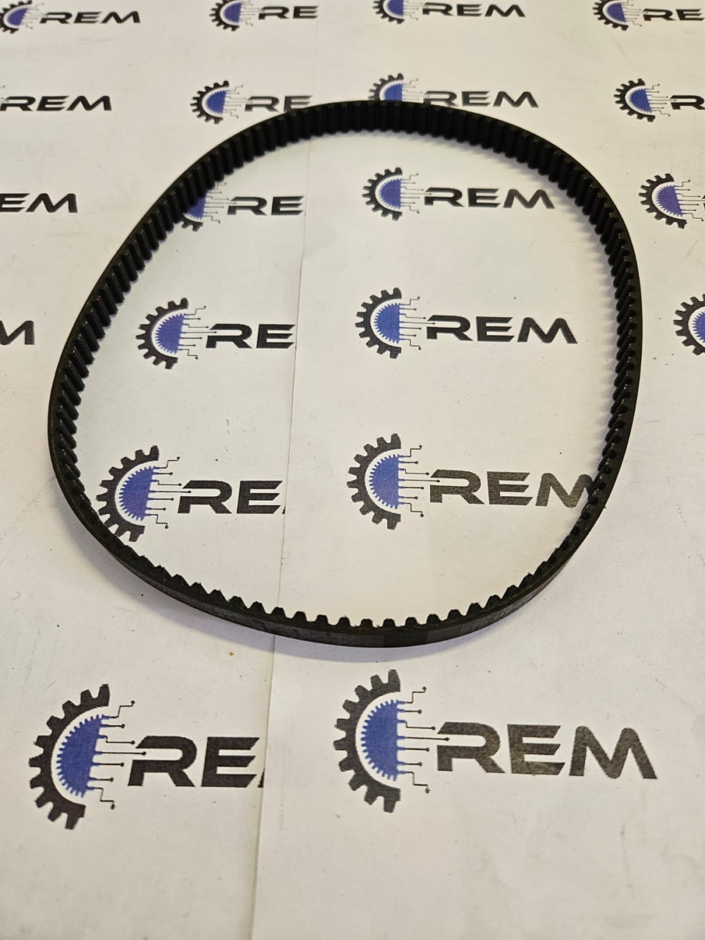 575 RPP5 L11