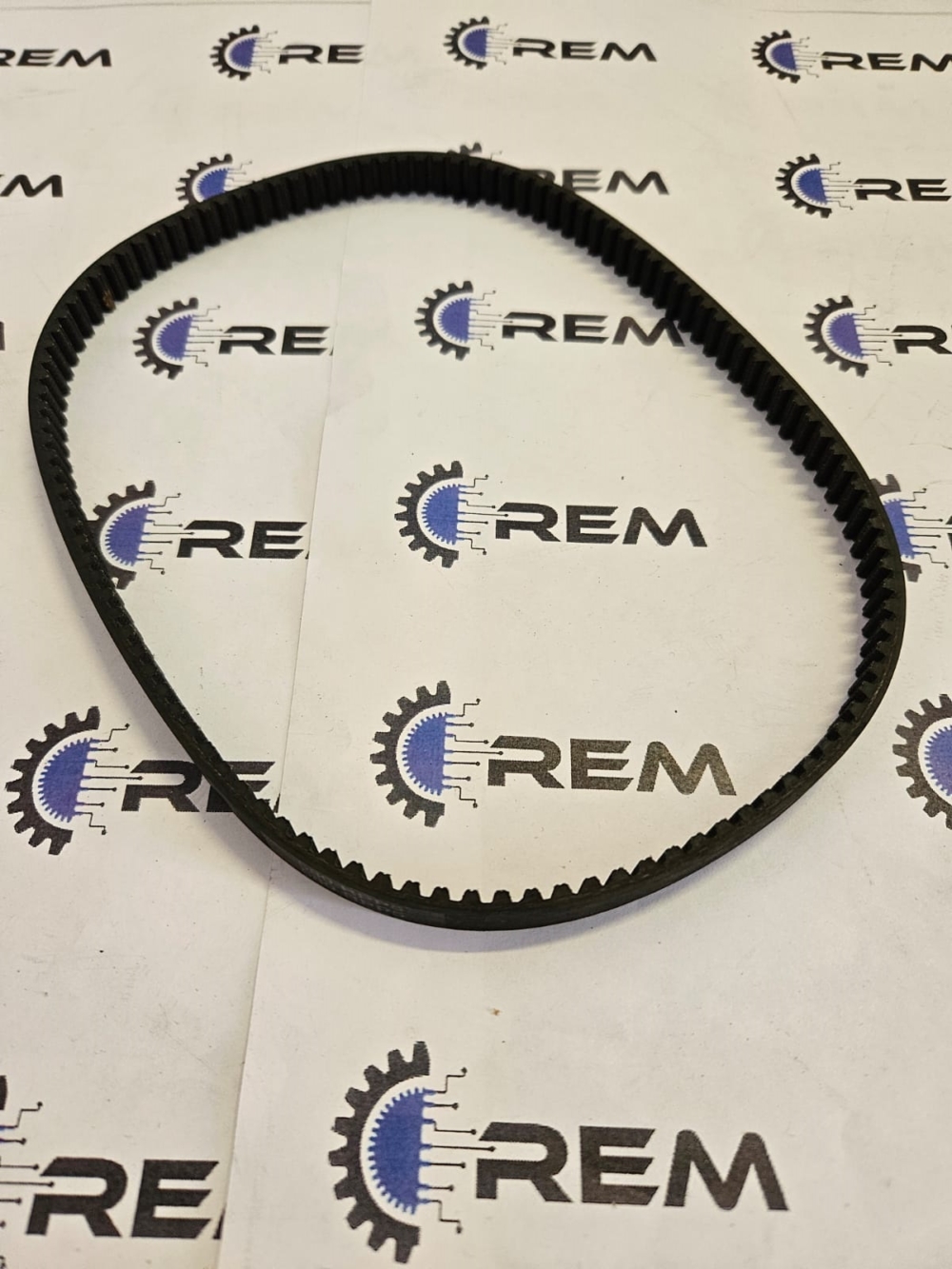 580 RPP5 L11