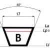 B