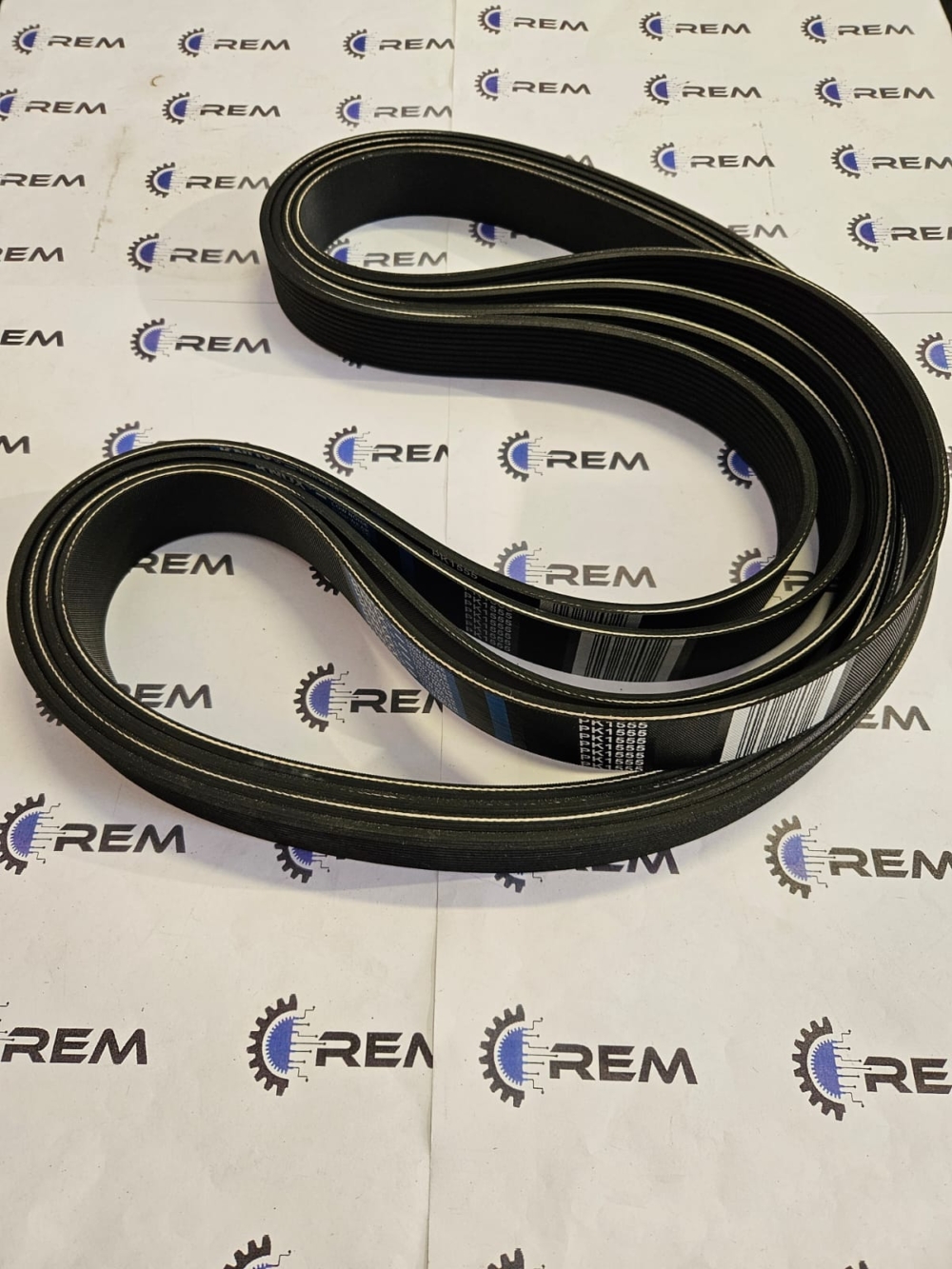 10PK 1555